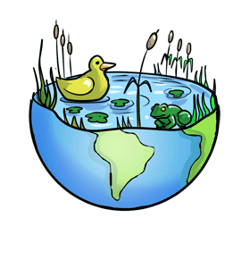 World Wetlands Day