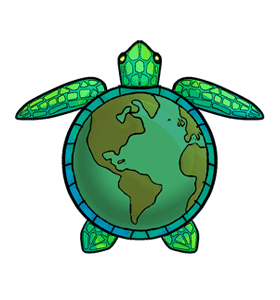 World Turtle Day
